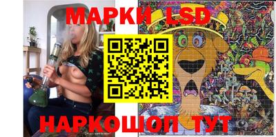дмт Кандалакша