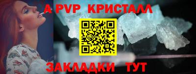 спайс Кингисепп