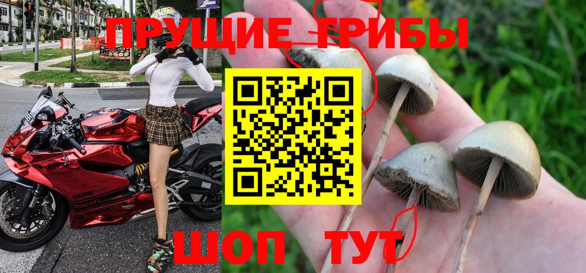 наркошоп  Галлюциногенные грибы мухоморы  Вход с VPN  Комсомольск-на-Амуре 