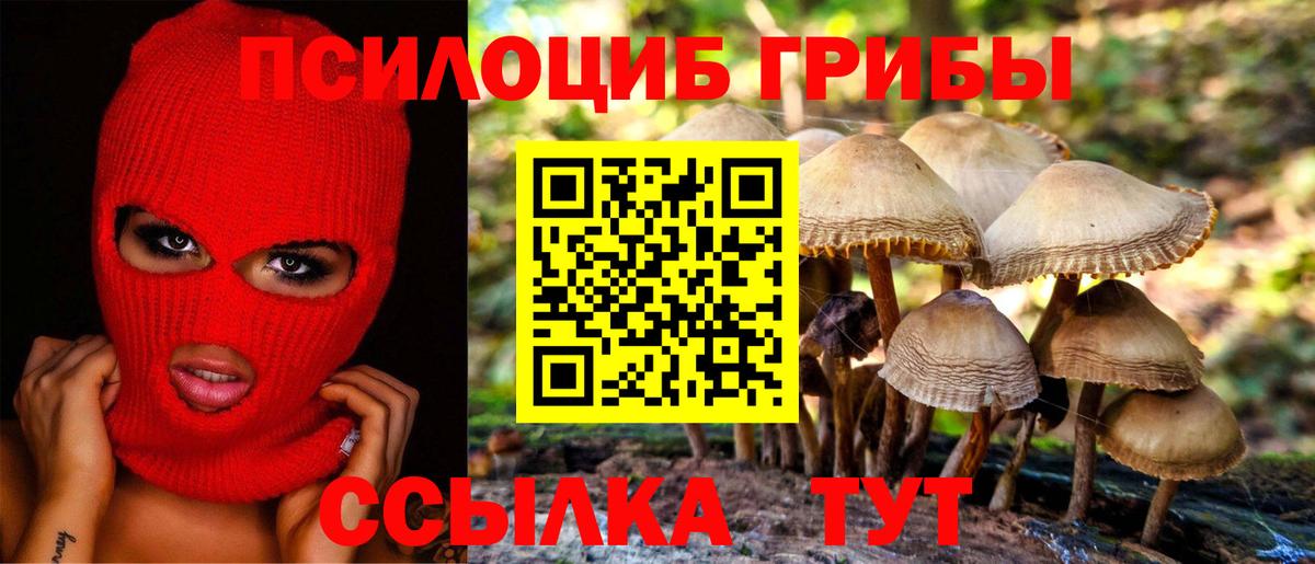 Псилоцибиновые грибы Psilocybine cubensis Комсомольск-на-Амуре